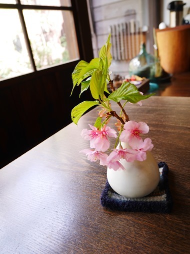 2015.03.31IIU sakura
